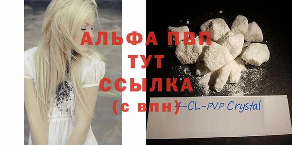 шишки Кукмор