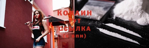 дживик Ладушкин