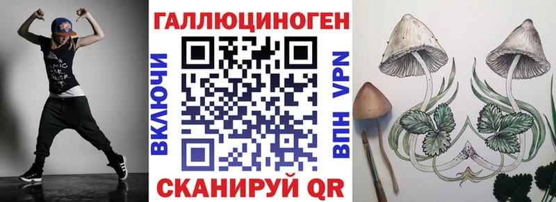 Псилоцибиновые грибы Psilocybe Медвежьегорск